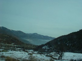 25396519