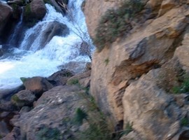 DSC00740