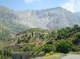arahova-landscape-1